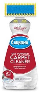 Carbona Carpet Cleaner