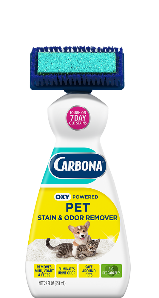 Carbona Pet& Stain Odor Remover